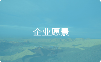 企业愿景